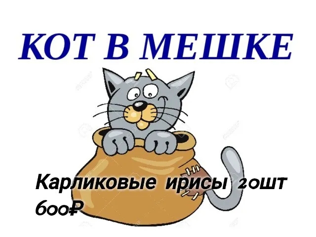 1775052724 Набор карликовых ирисов "Кот в мешке" 20шт — изображение 1